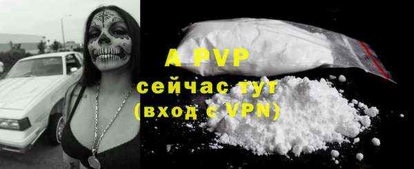 прущие крисы Богданович