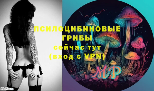 тгк Богородск