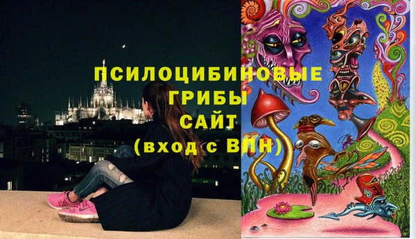 прущие крисы Богданович
