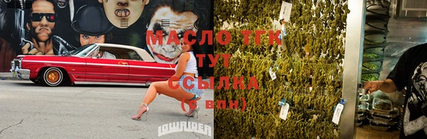 apvp Богородицк