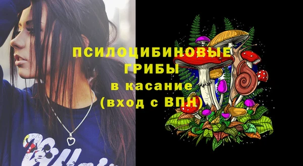 apvp Богородицк