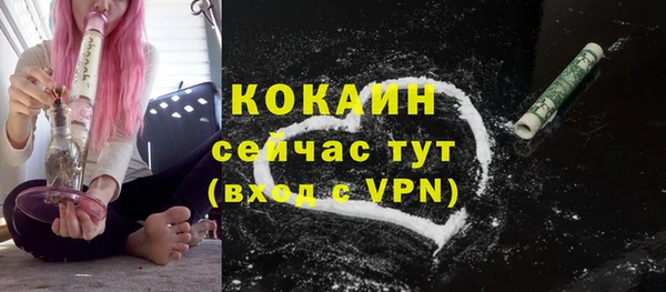прущие крисы Богданович