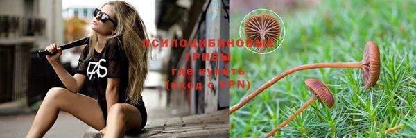 прущие крисы Богданович